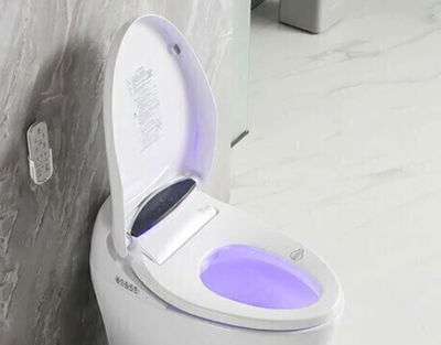 ASIENTO DE INODORO INTELIGENTE