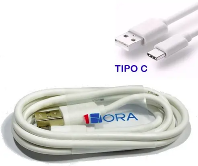 CABLE USB - TIPO C 2.1A ECONOMIC NEGRO CAB244N