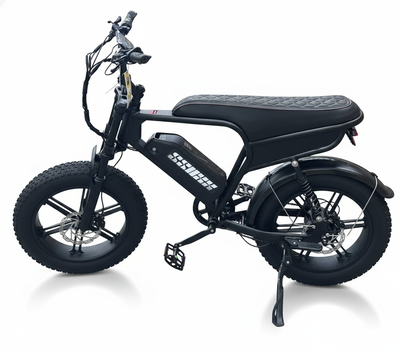 BICICLETA ELECTRICA S9