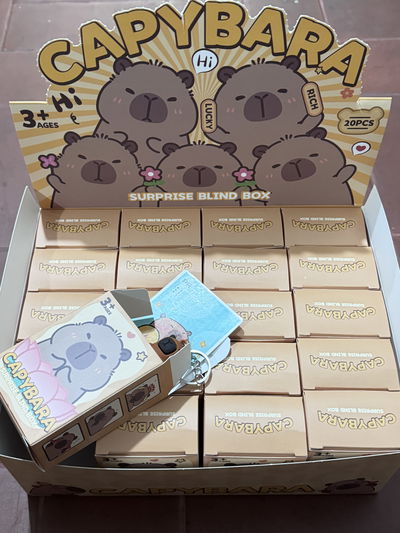 CAJA SORPRESA CAPYBARA COLGANTE Y CARTAS