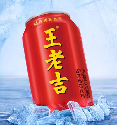 WANGLAOJI TE HERBAL 310ML FS39