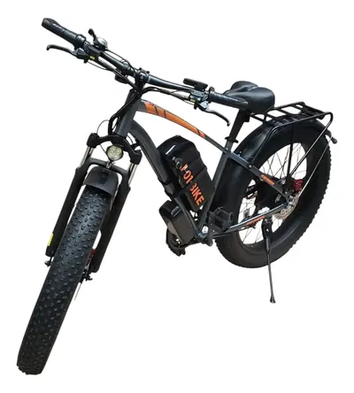 BICICLETA ELECTRICA F01