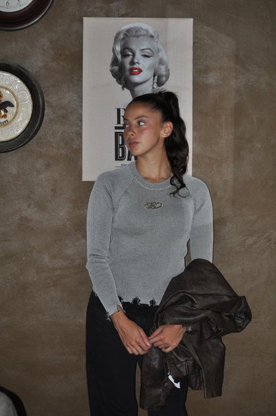 Sweater Roger grey 