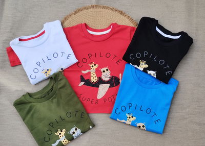 REMERA COPILOTE