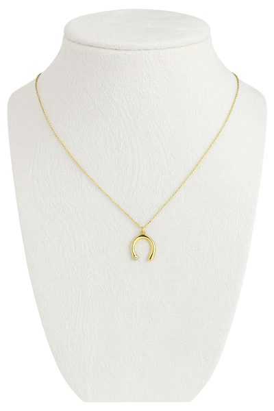 Collar Herradura y Brillante de Acero Quirúrgico y Baño de Oro 18 k 