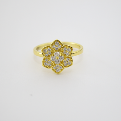 Anillo Giratorio S20