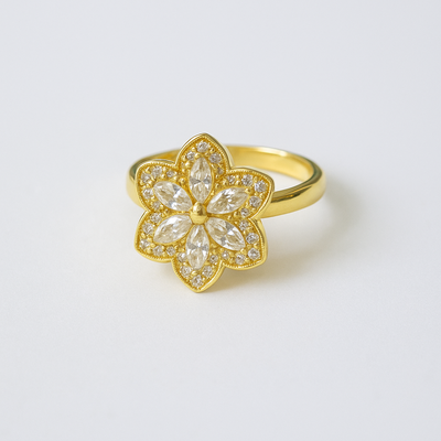  Anillo  Giratorio S20