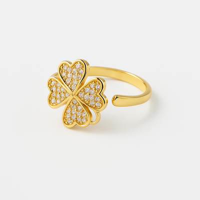 Anillo Giratorio S20
