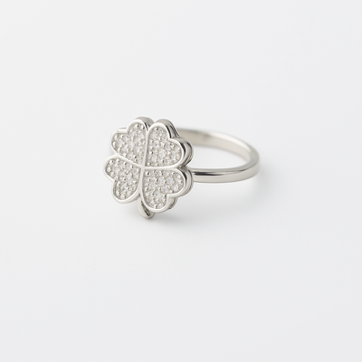  Anillo Giratorio S20