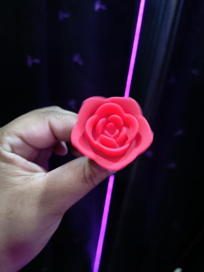 PLUG ANAL FLOWER SILICONE RED T:S
