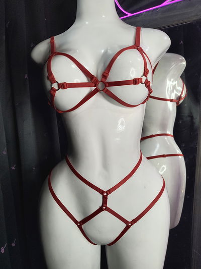 CONJUNTO DE ARNES T.U