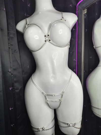 CONJUNTO DE ARNES T.U