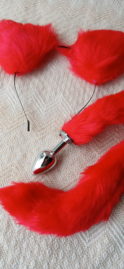 SET GATITA