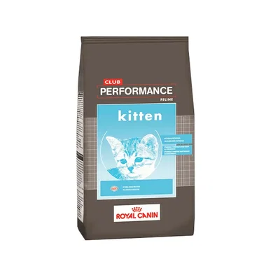 ROYAL CANIN Performance Kitten – Bolsa x7,5kg