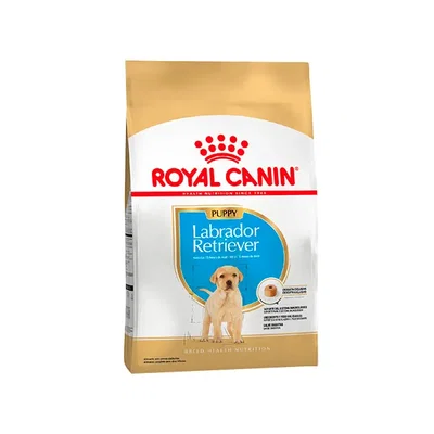 ROYAL CANIN Cachorro Labrador Retriever – Bolsa x12kg