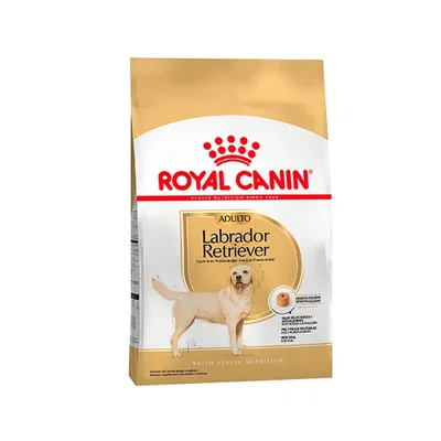 ROYAL CANIN Perro Adulto Labrador Retriever – Bolsa x12kg