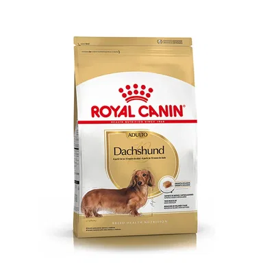 ROYAL CANIN Perro Adulto Dachshund (Teckel) – Bolsa x3kg