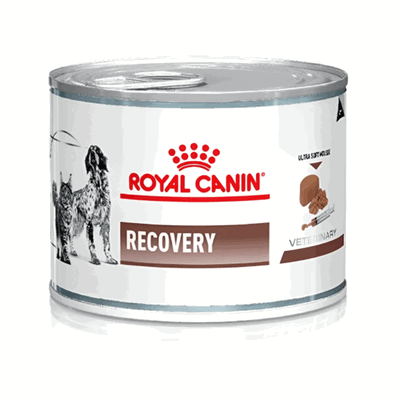 ROYAL CANIN RECOVERY Paté 195g