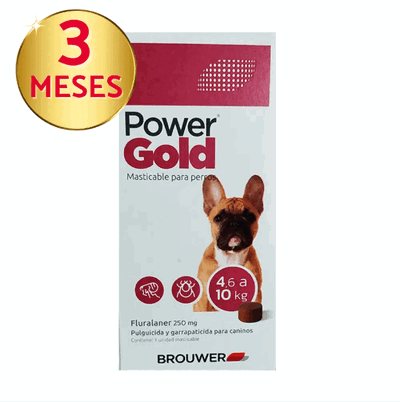 Power Gold Comprimidos para Perros de 4,6 a 10 kg | Protección por 3 Meses