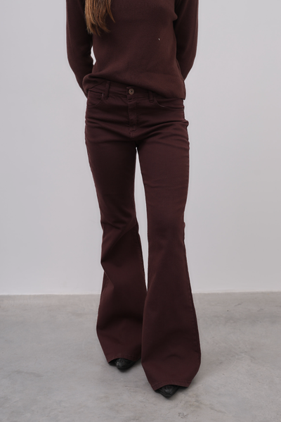 Oxford Grifo Bordo