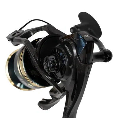 REEL SPINIT ANNIVERSARY 