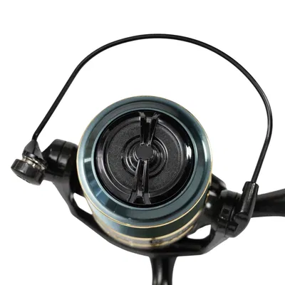 REEL SPINIT ANNIVERSARY 