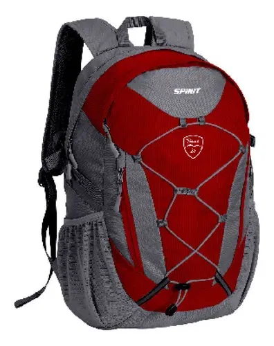 MOCHILA"SPINIT"TEMUCO 24 