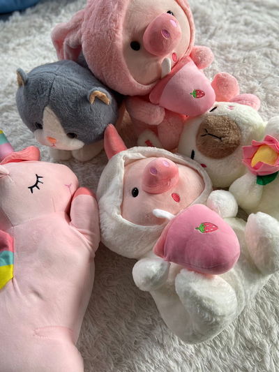 Peluche con manta 