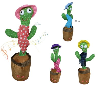 Cactus Bailarín. 🌵