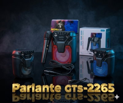 Parlante GTS-2265. 🌈✨