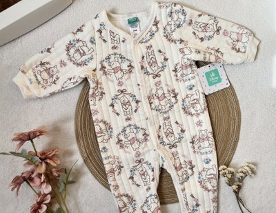 Enterito “Delicated Pooh” - Disney Baby 
