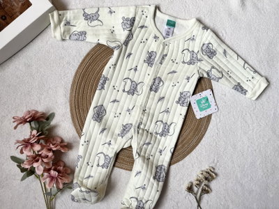 Enterito Dumbo - Disney baby 