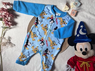 Enterito Polar Mickey y Pluto