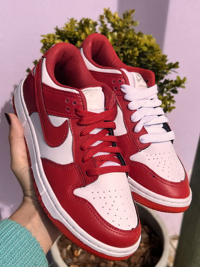 Dunk SB rojas