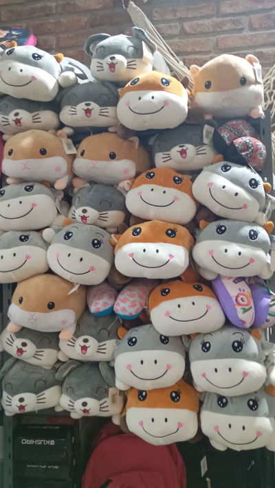Peluches con manta