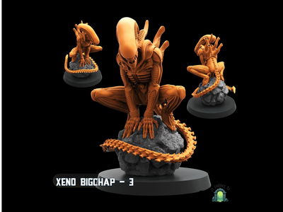 Xeno bigchap 3