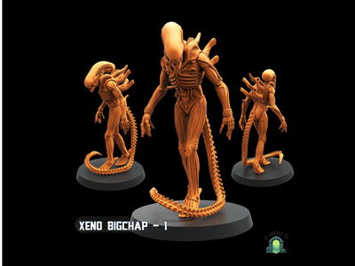 Xeno bigchap 1