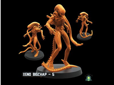 Xeno bigchap 5
