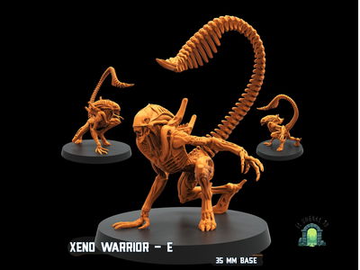Xeno warrior E