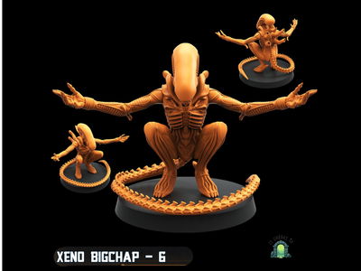 Xeno bigchap 6