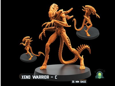 Xeno warrior C
