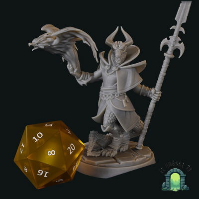 Dragonborn mago