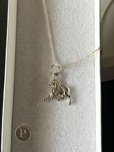 Conjunto mini caballo 