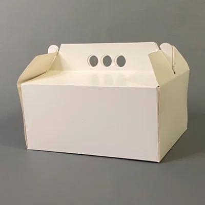 Maletin Blco Facturas 23x18x11