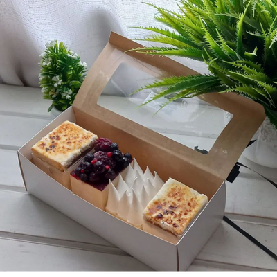 Caja Budinera Con Visor 22x9.5x7