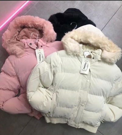 Puffer Ic