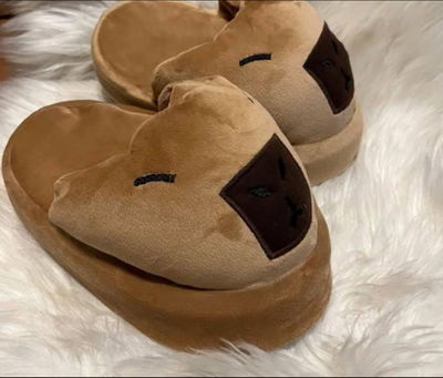 Pantuflon Capibara