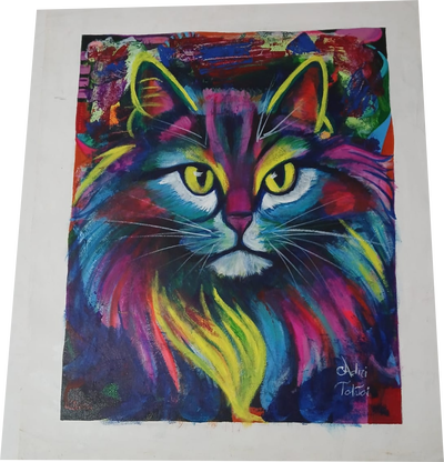 Sol Felino
