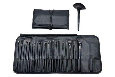 Set de brochas x 24 