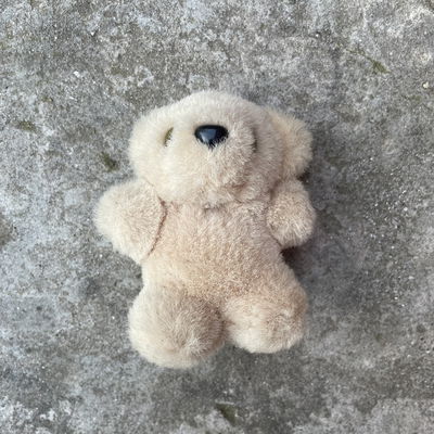 Petit Teddy